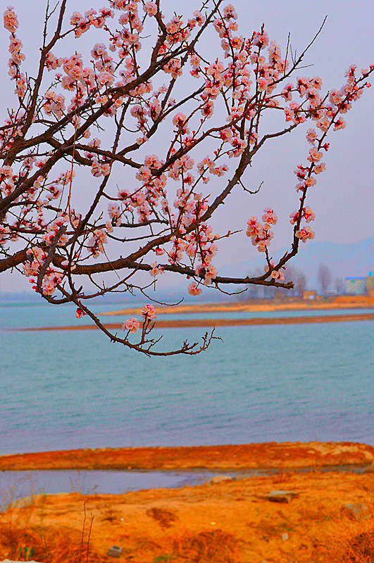 DSC_0135_副本.jpg
