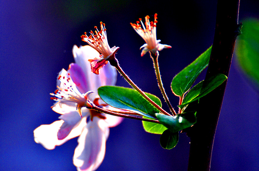 DSC_0066.jpg