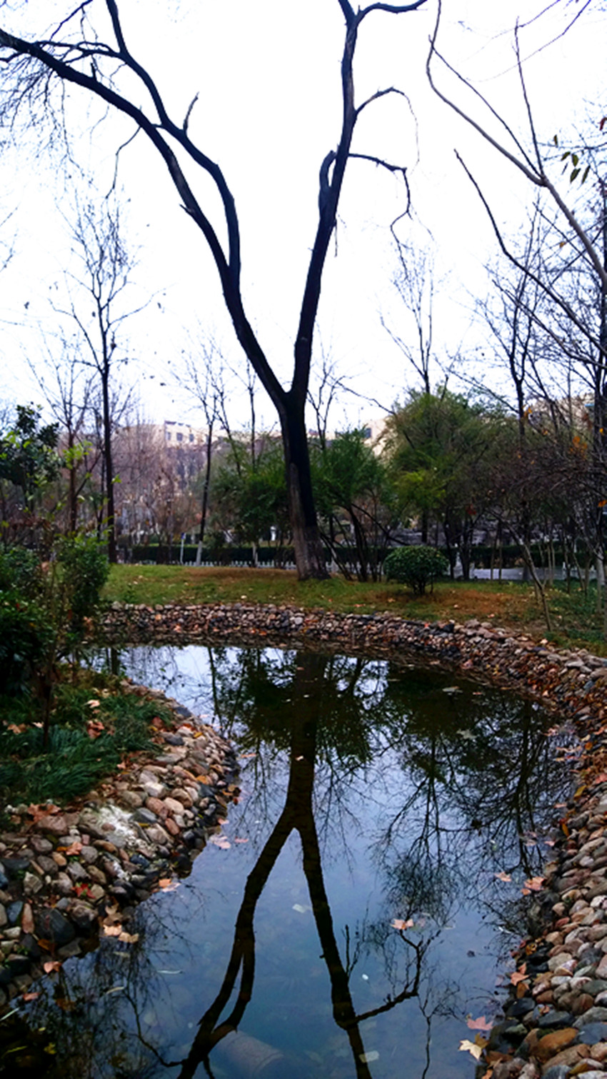 20161213_122421_副本.jpg