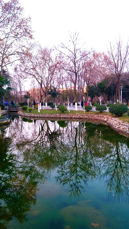 20161214_073121_副本.jpg