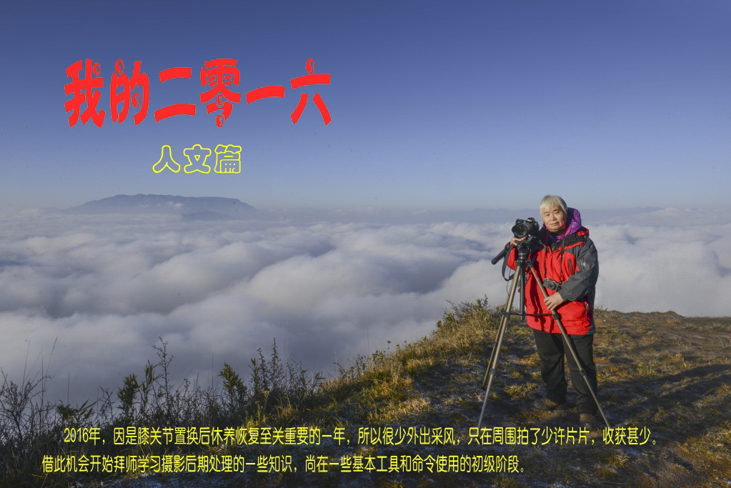 1我的2016_人文.jpg