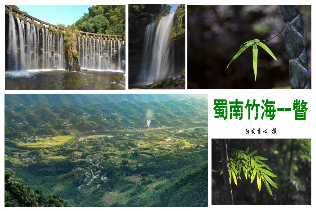 竹海_小图.jpg