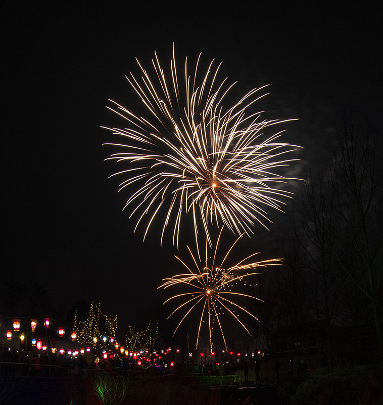 _DSC9239-1-0.jpg