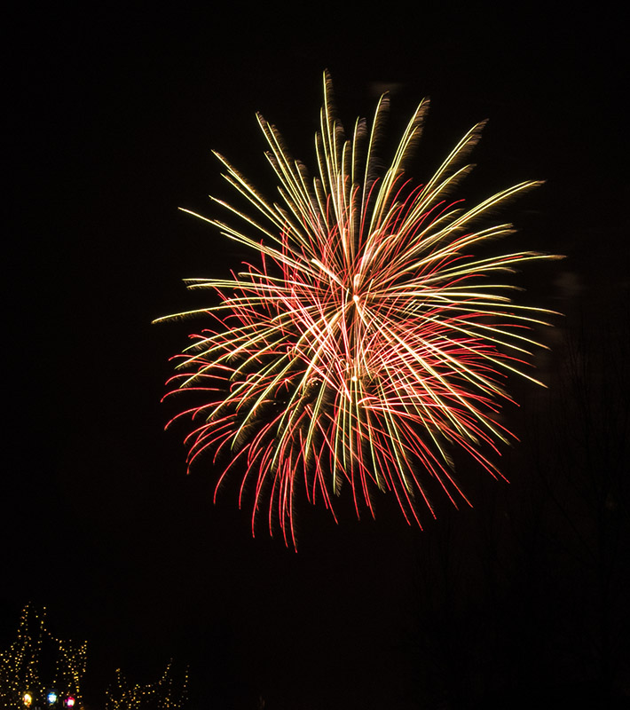 _DSC9340-1-0.jpg