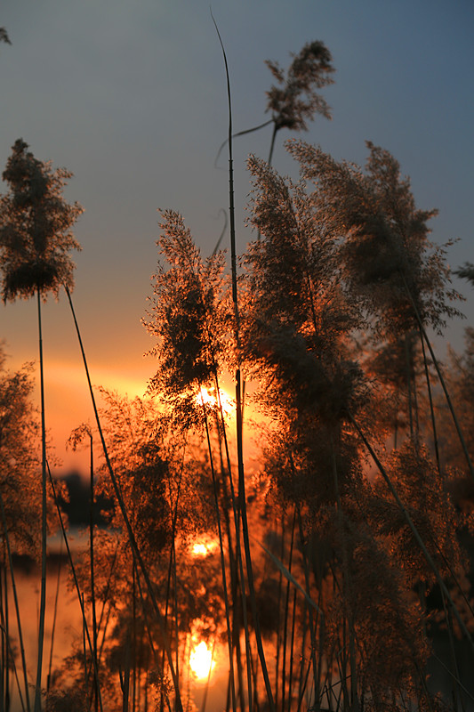 GF4A7356夕阳.jpg