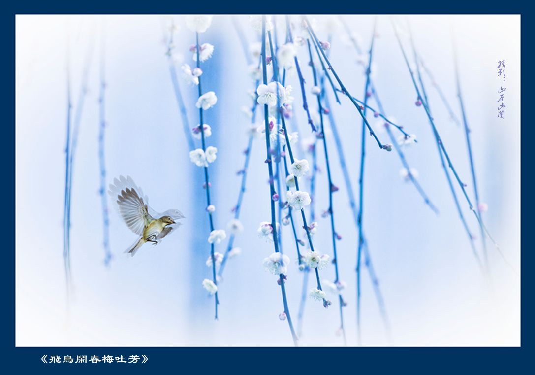 飞鸟闹春.jpg