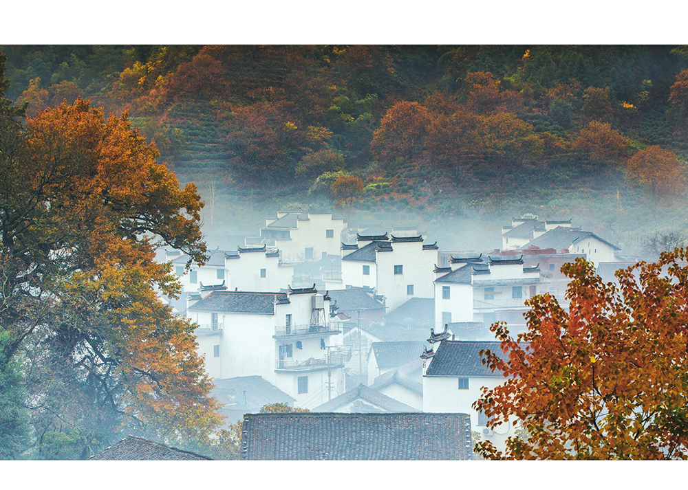 石城红叶