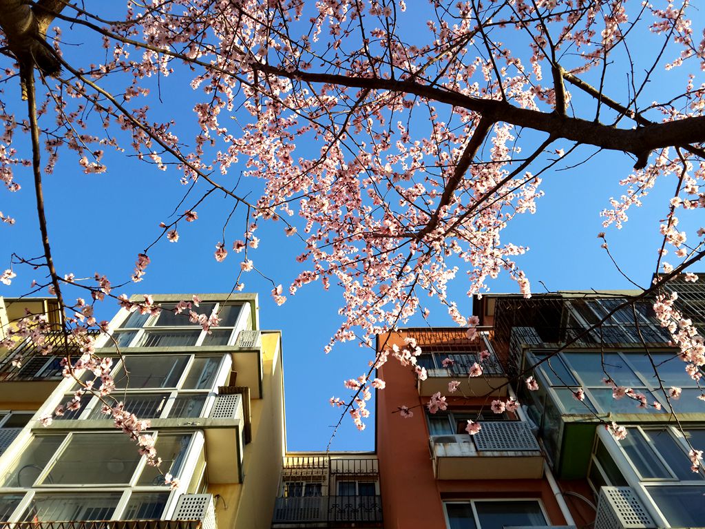 20170309_074414.jpg
