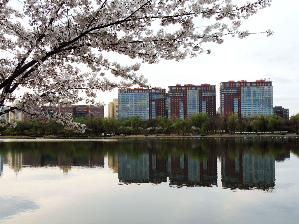 DSCN9506.JPG