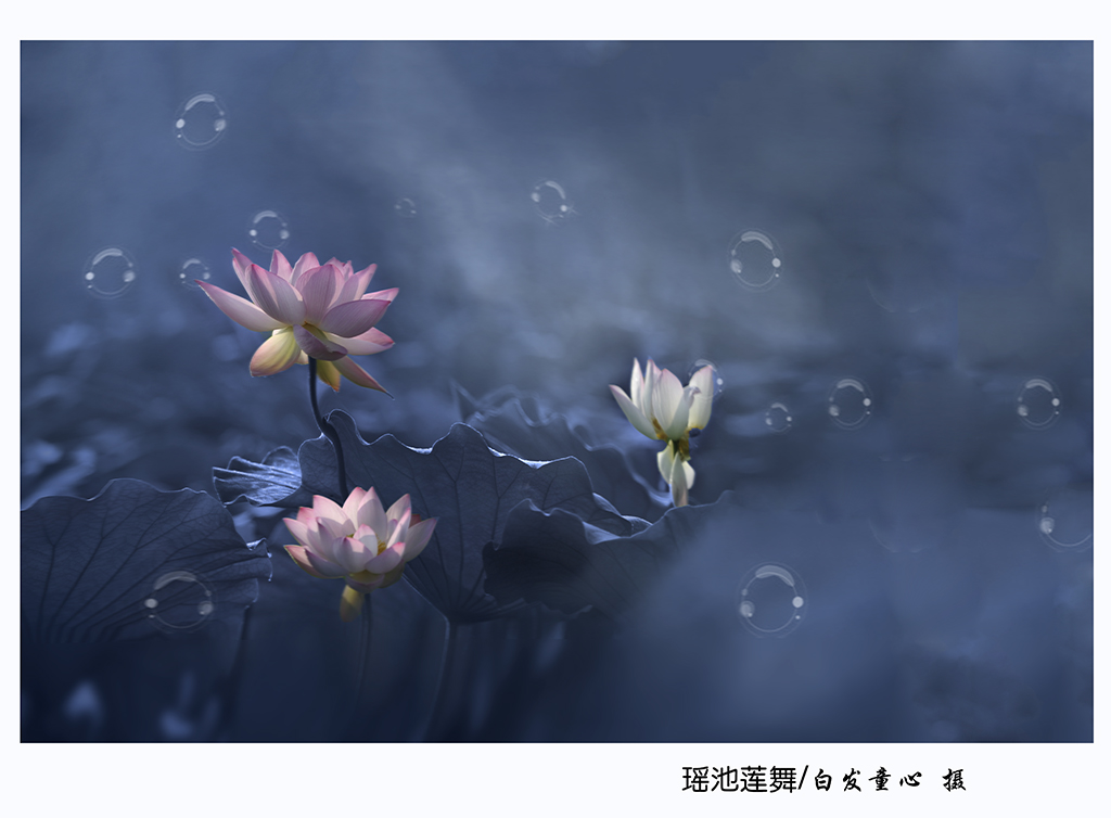 DSC_9509-2小图.jpg