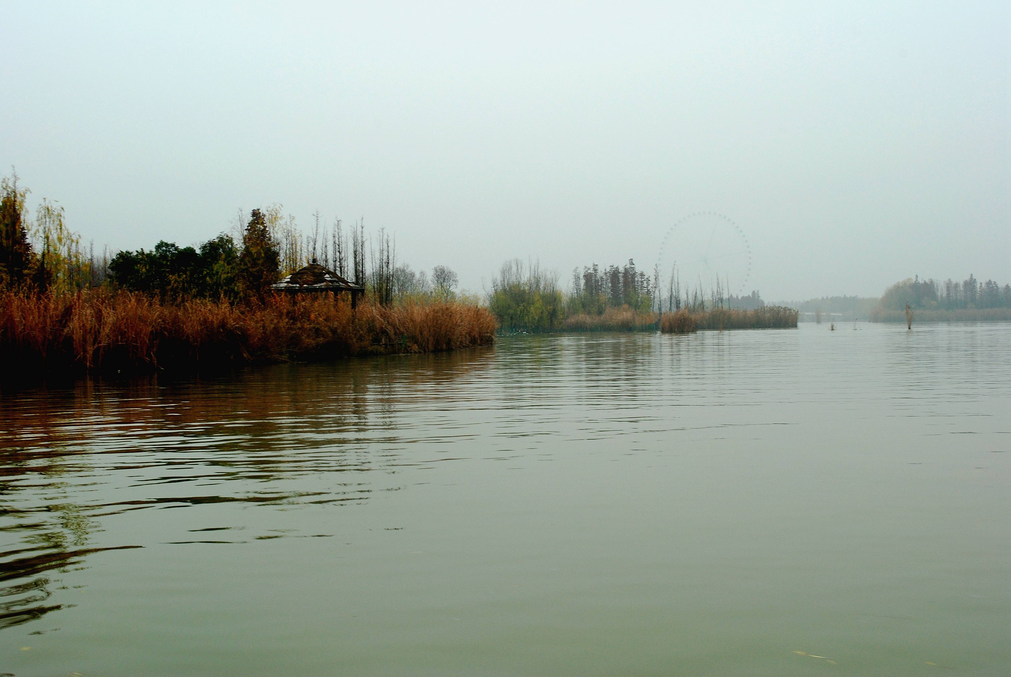 DSC_0439.JPG