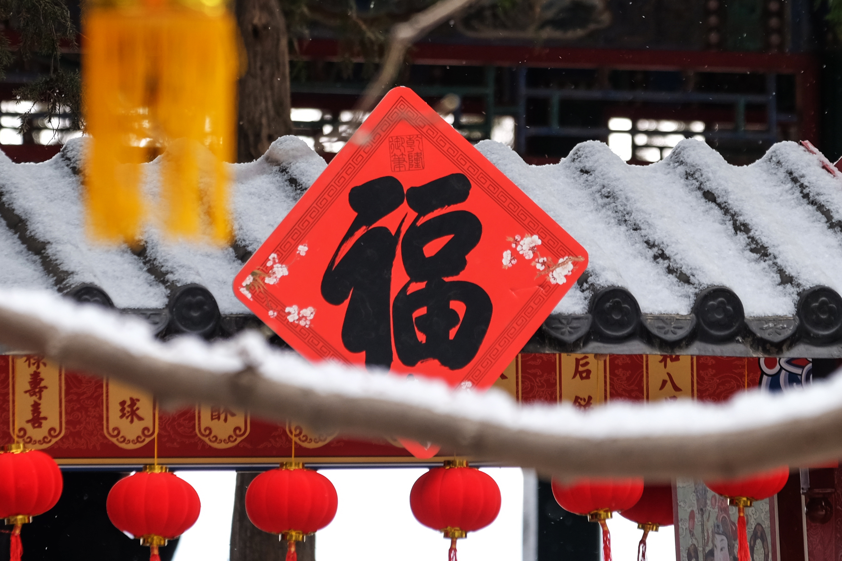 DSCF0719-1.jpg