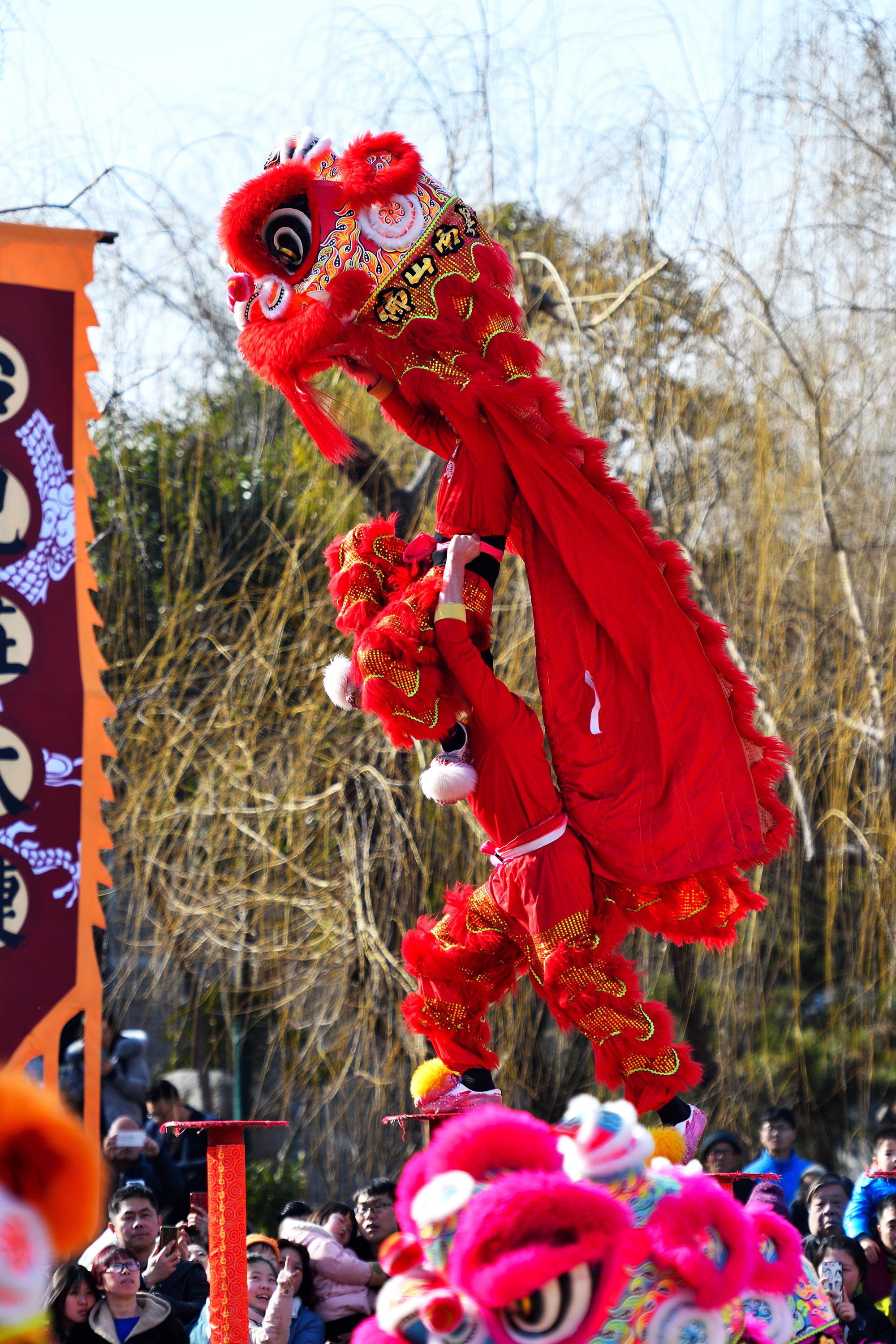 DSC_8868.jpg