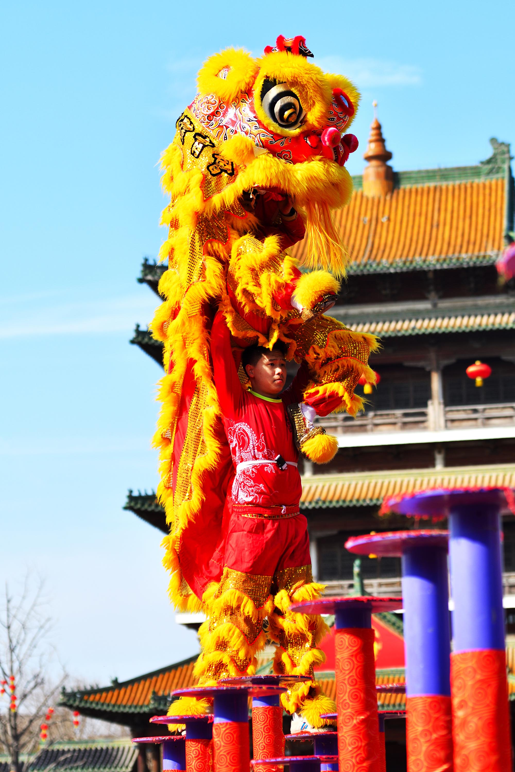 DSC_9046.jpg