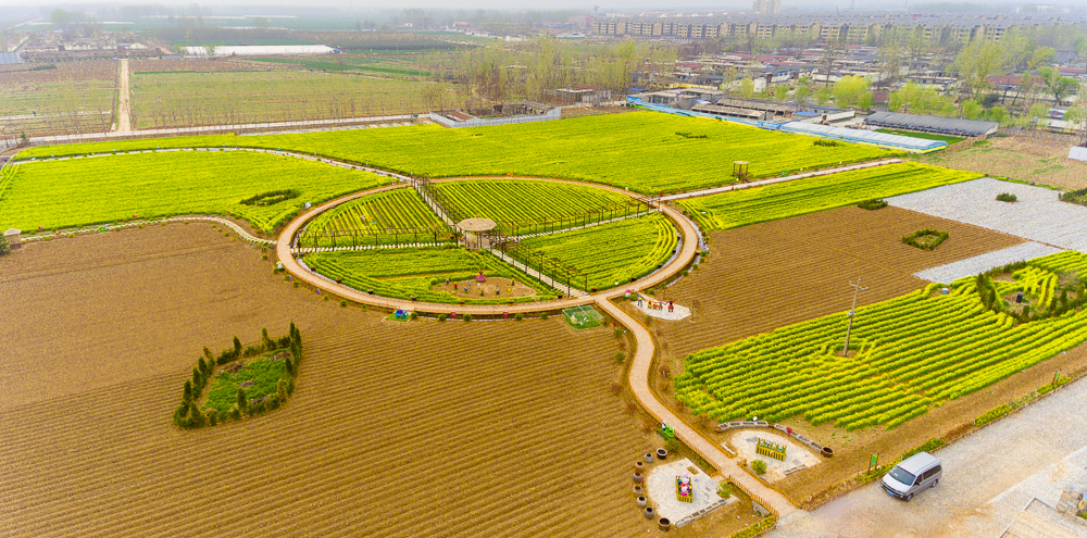 DJI_0006.jpg