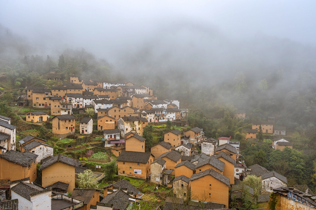 _DSC3731_副本.jpg