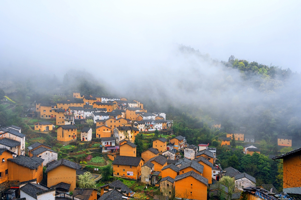 _DSC3745_副本.jpg