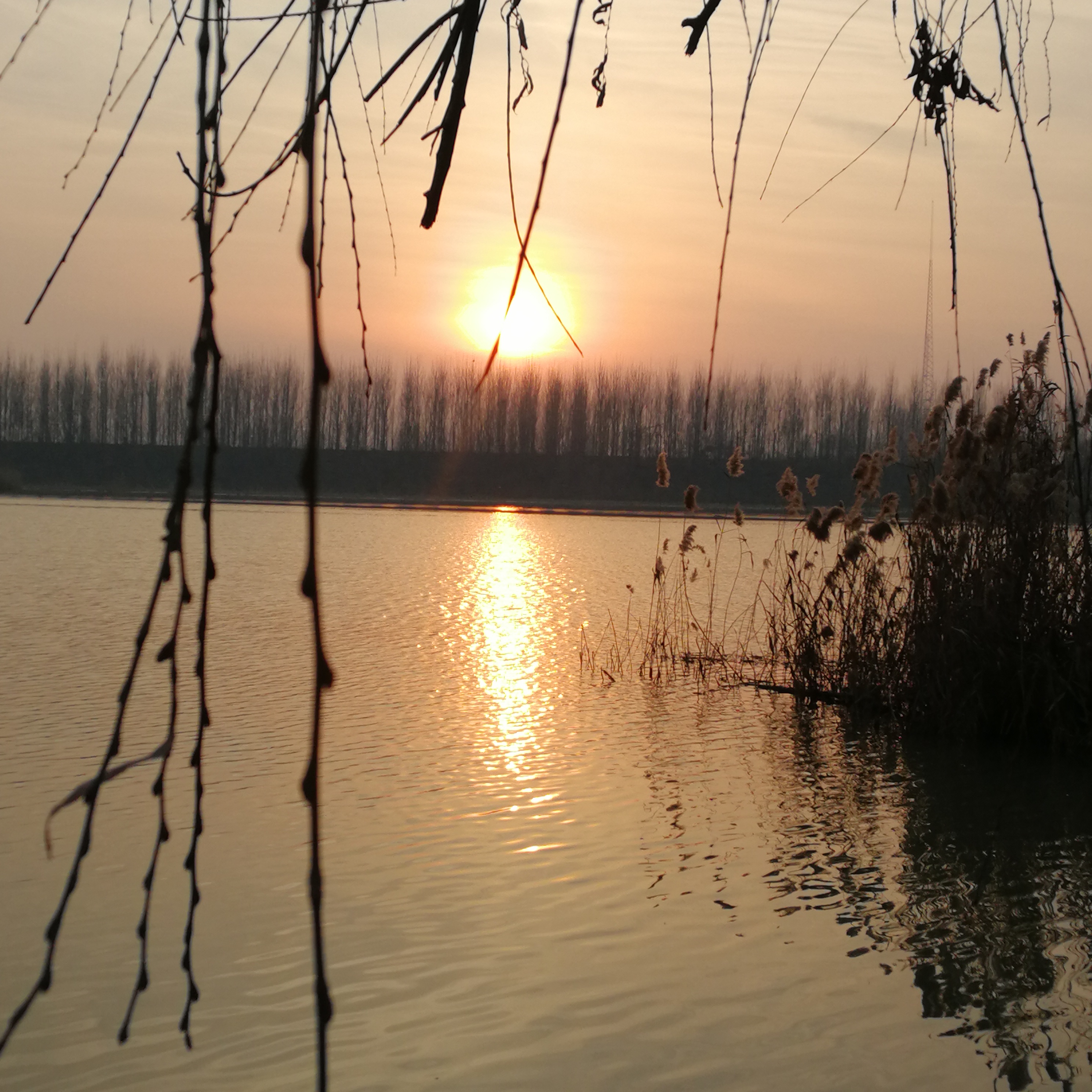 IMG_20210102_164429.jpg
