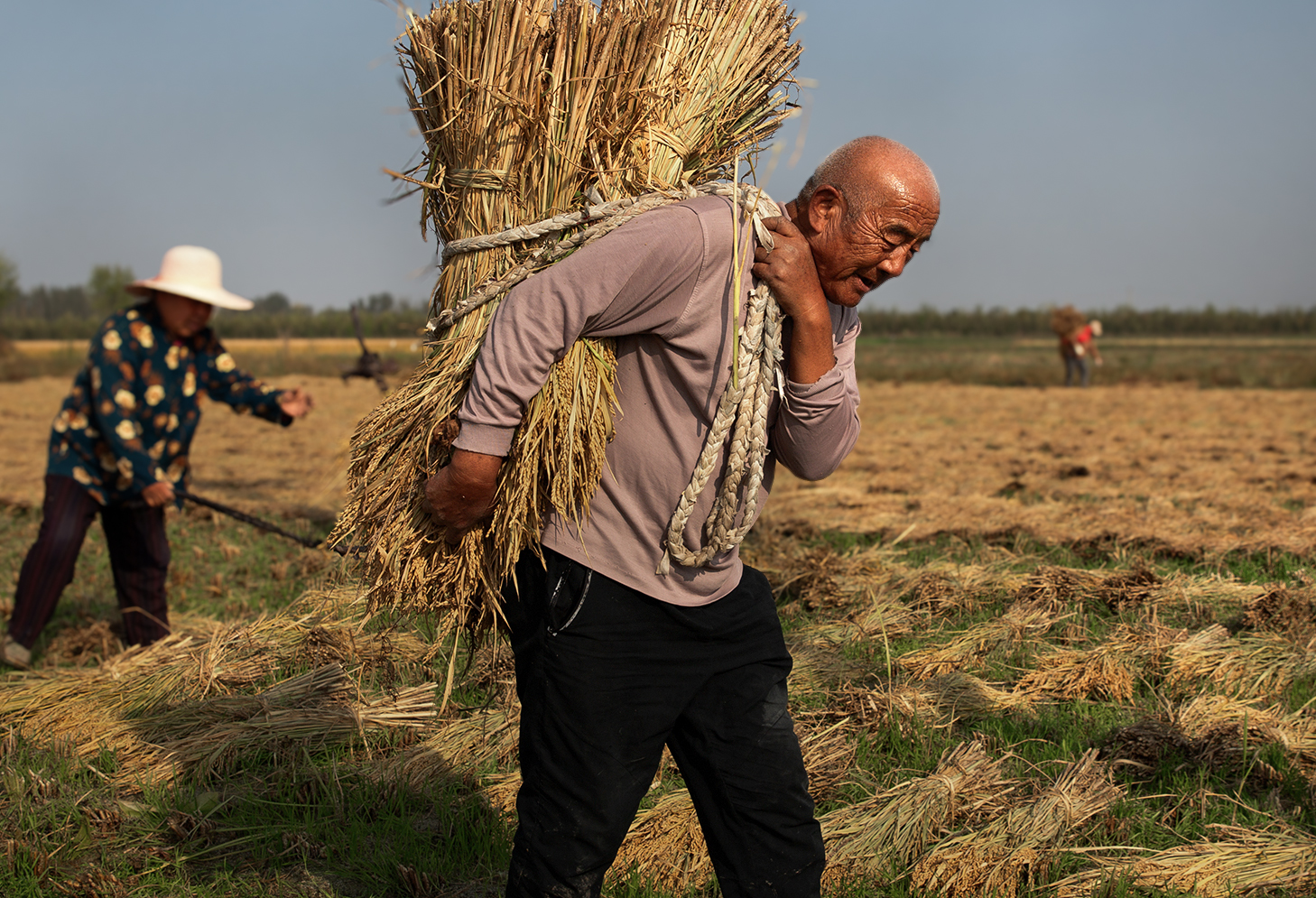 银发护振兴  老骨撑新田.jpg