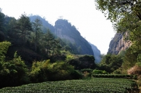 武夷山