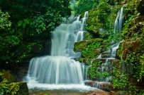 赤水观瀑