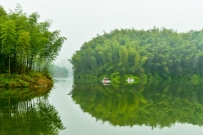 赤水观竹