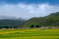 美丽家园