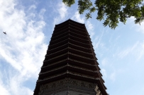 高入云端
