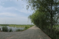 太白湖美景