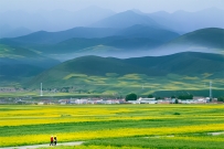 风景如画