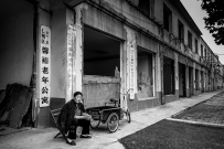 恋家的老人