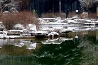 迟来的第一场雪