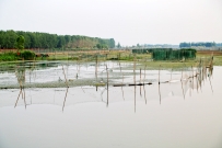 济宁水乡