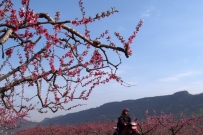 岱崮地质公园掠影（5）