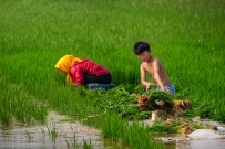 好少年