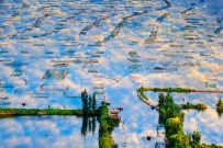 天水一色