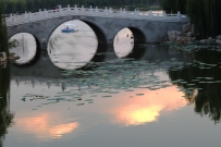 美在南池