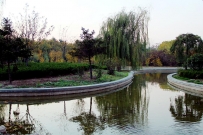 植物园小景
