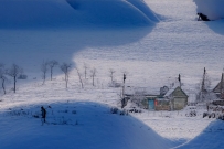 白雪蔽沃野