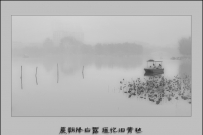 雨雾蒙蒙