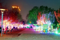 去年元夜时 花市灯如昼