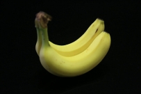 静物