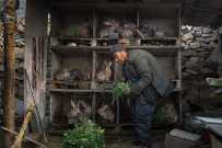 《本色》(2026.3.17.拍摄于嘉祥武翟村)