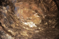 水趣