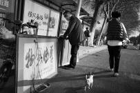 街拍   (厚德载物映着不文明的遛狗。)
