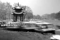 世间·黑白