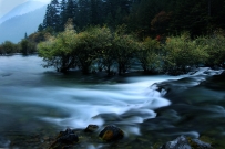 清泉石上流