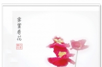 【原创】手机摄影·雾里看花