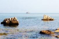 我爱这蓝色的海洋