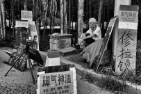 多种经营，苦苦支撑